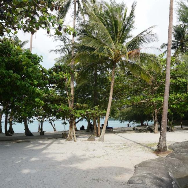 Two sides of a beach - Klong Son Beach - Slow Life Cycling Bicycle Tour, Koh Chang, Thailand