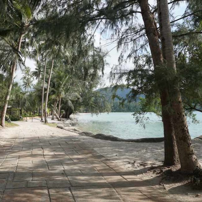 Hidden beach under pine trees - Klong Son Beach - Slow Life Cycling Bicycle Tour, Koh Chang, Thailand